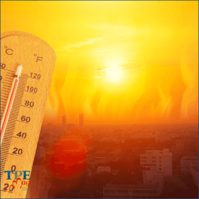 Canicule : nouvelles obligations pour les entreprises