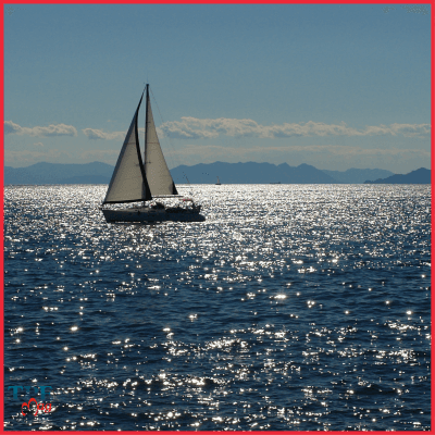 La préservation des ressources marines : une volonté internationale.